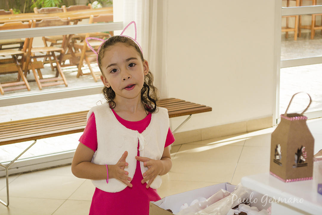 Xerife Callie - Aniversário Infantil