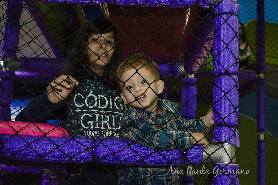 Aniversário Infantil - Mickey Safari