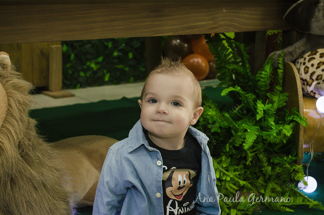 Aniversário Infantil - Mickey Safari