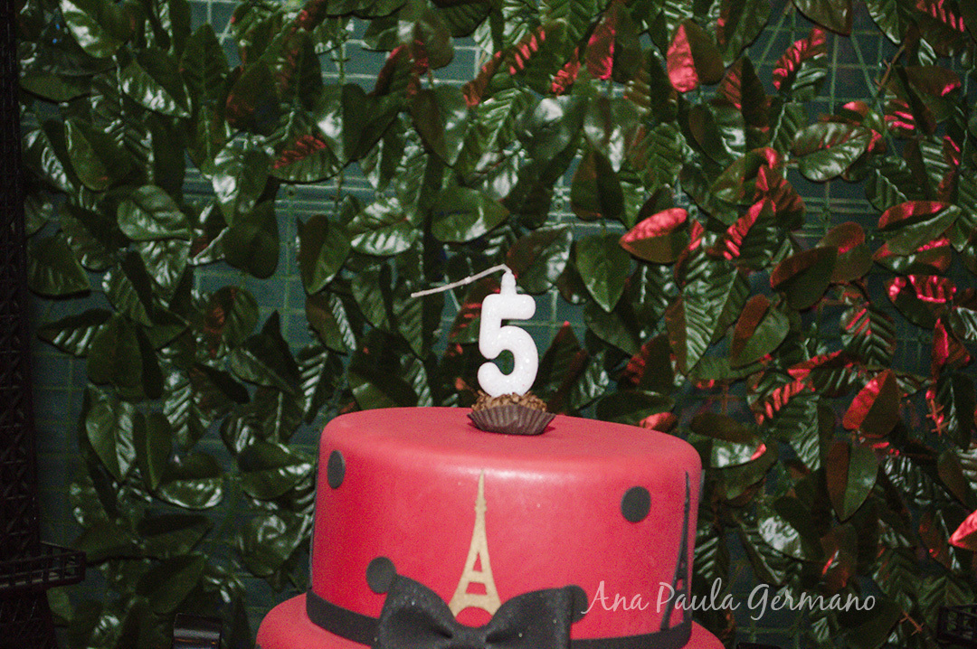 Aniversário Infantil - Lady Bug