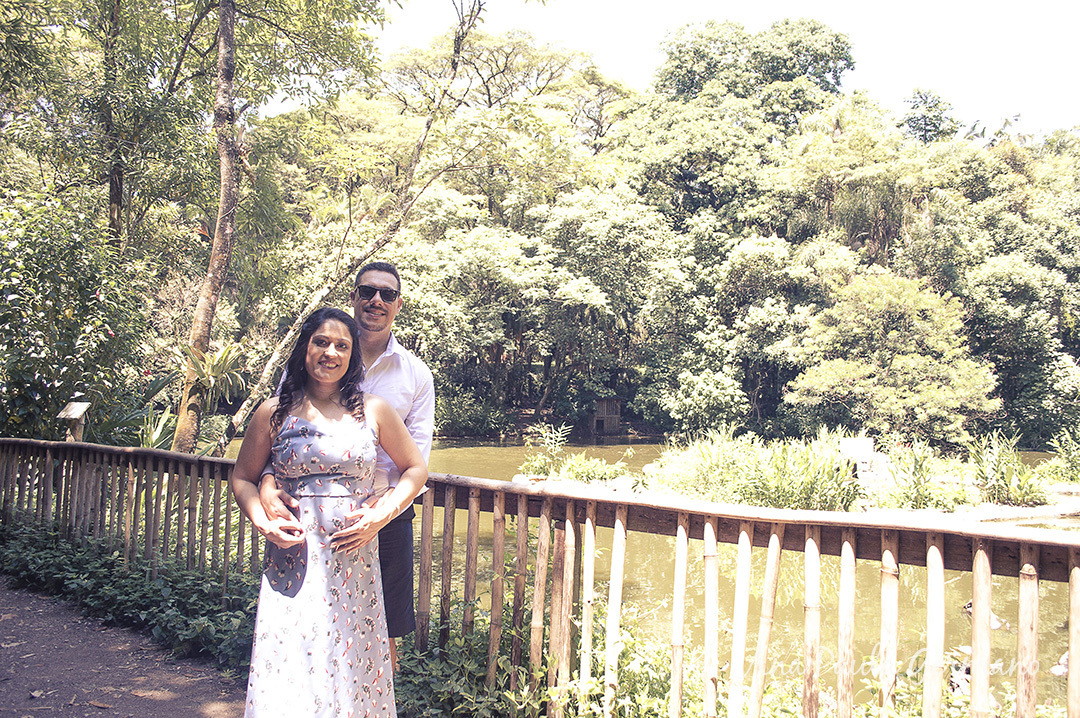 Casamento Civil - Ensaio Pre-wedding - Ensaio Parque Burle Marx