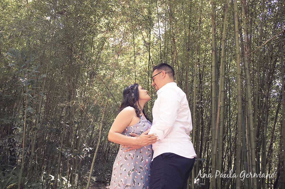 Casamento Civil - Ensaio Pre-wedding - Ensaio Parque Burle Marx