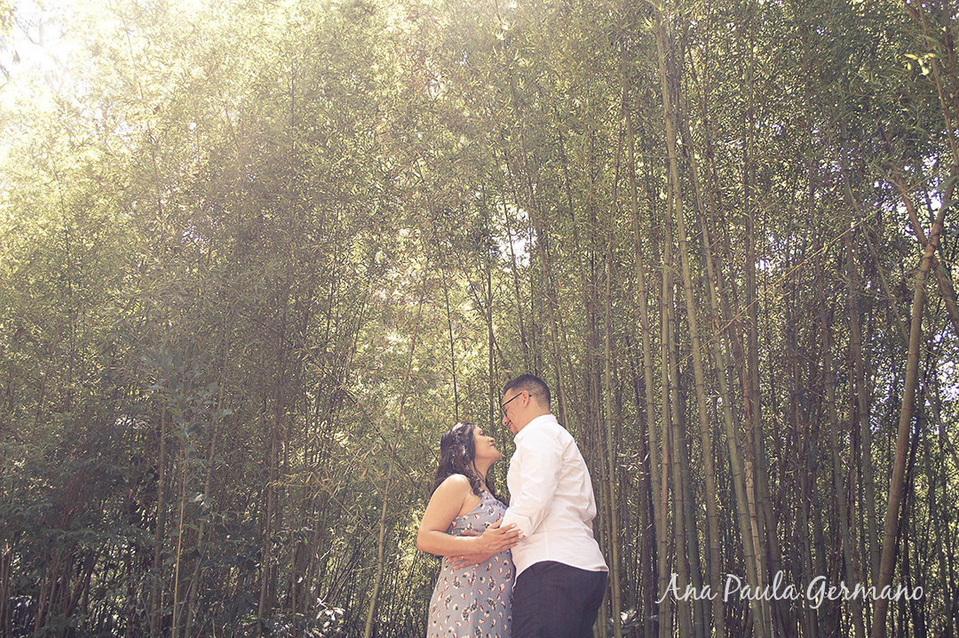 Casamento Civil - Ensaio Pre-wedding - Ensaio Parque Burle Marx