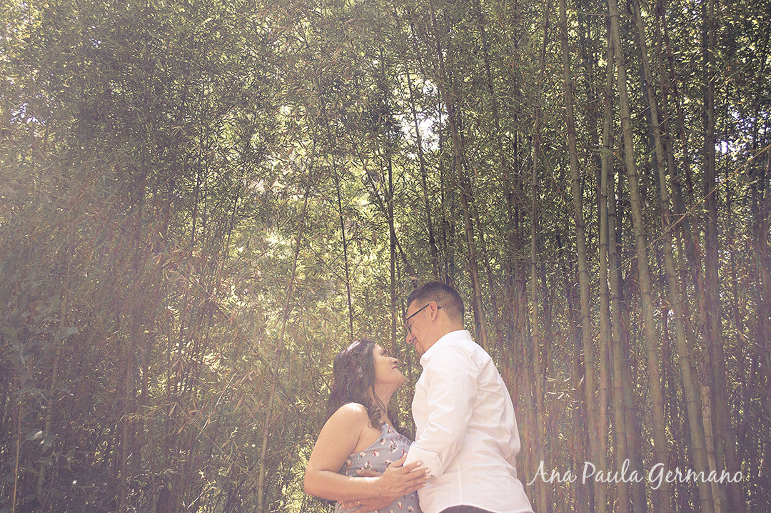 Casamento Civil - Ensaio Pre-wedding - Ensaio Parque Burle Marx