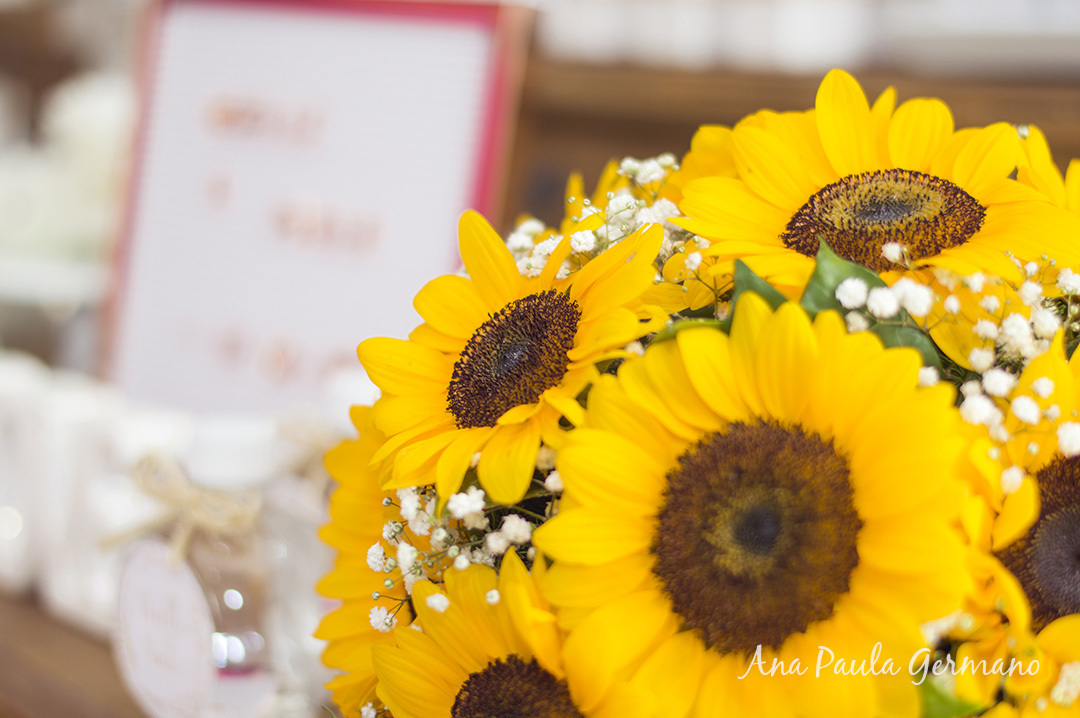 Casamento - Mini wedding