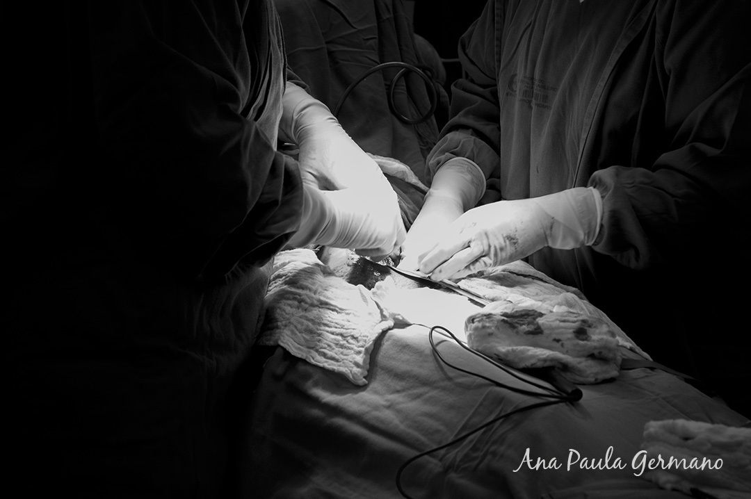 fotografia de parto - Hospital Nipo Brasileiro 20