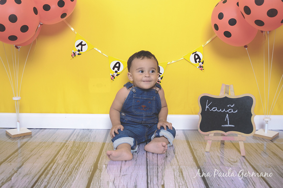 Smash the Cake Mickey menino