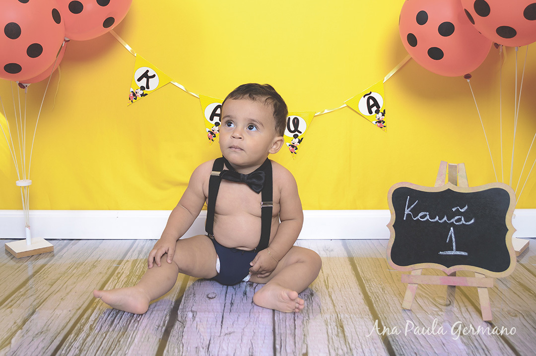 Smash the Cake Mickey menino