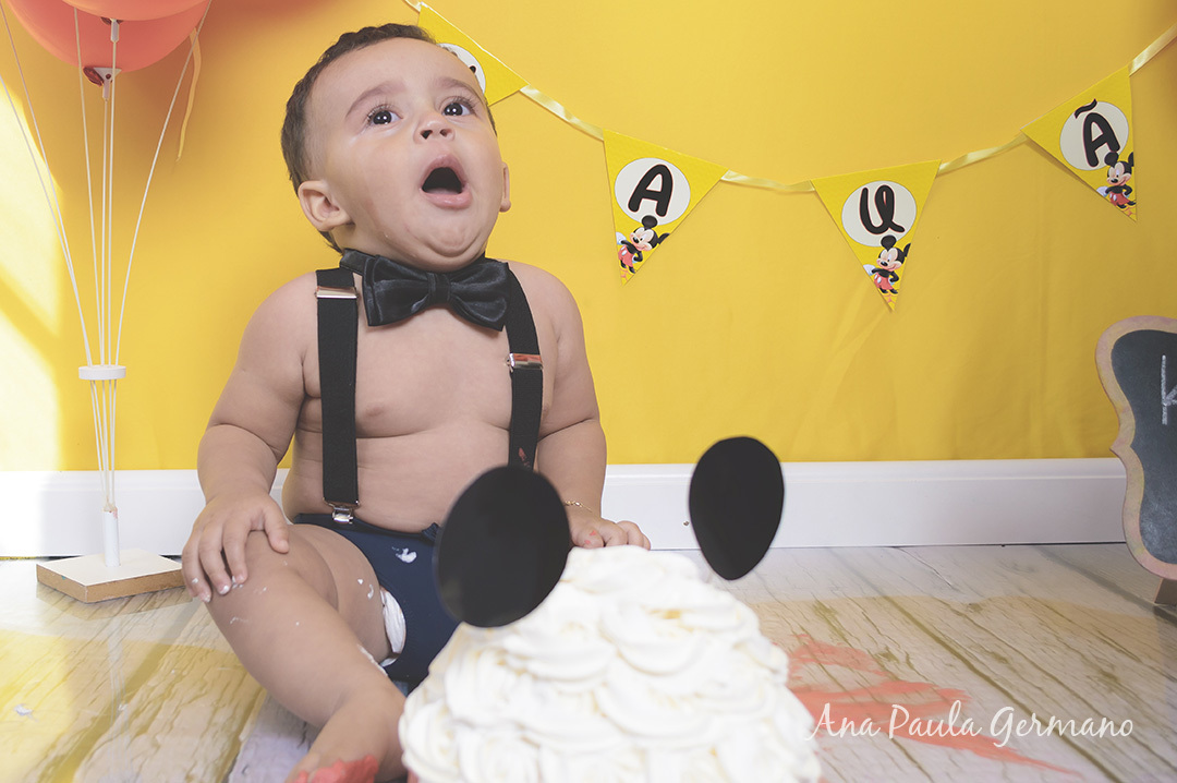Smash the Cake Mickey menino