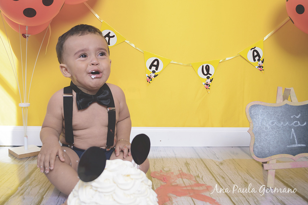 Smash the Cake Mickey menino