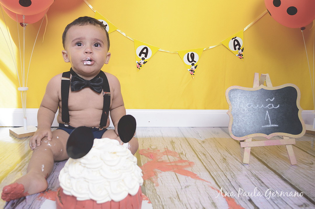 Smash the Cake Mickey menino