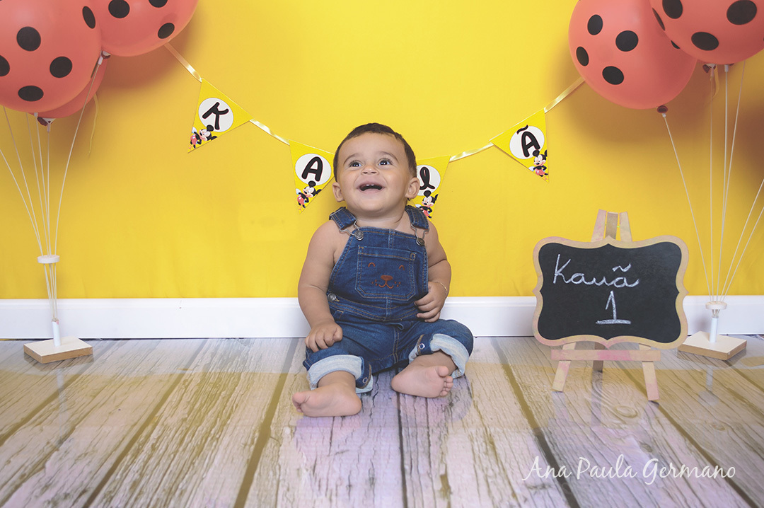 Smash the Cake Mickey menino