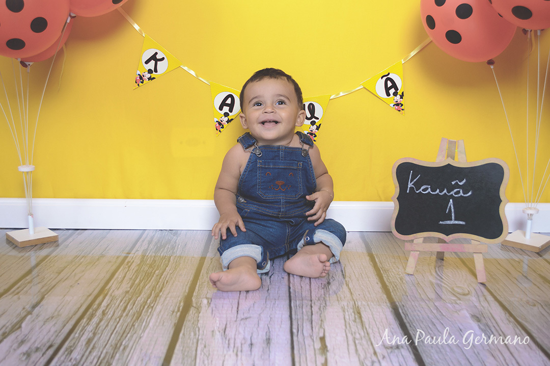 Smash the Cake Mickey menino