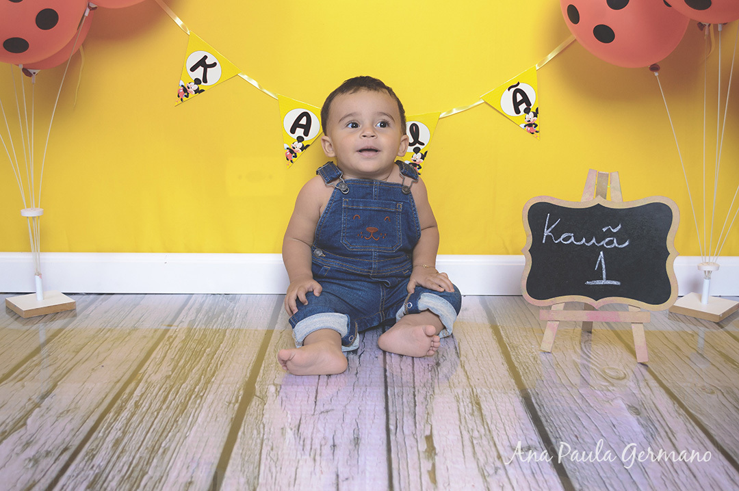 Smash the Cake Mickey menino