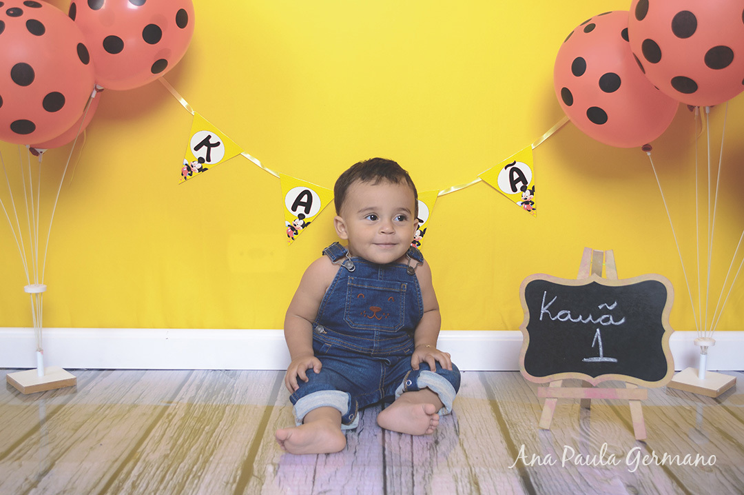 Smash the Cake Mickey menino