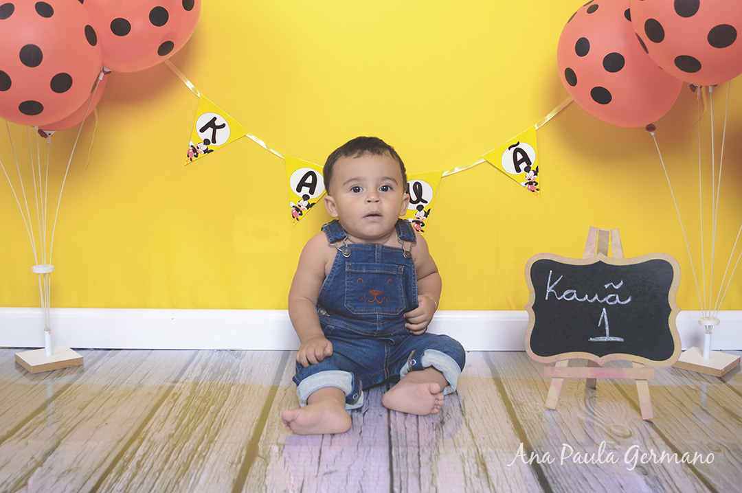 Smash the Cake Mickey menino