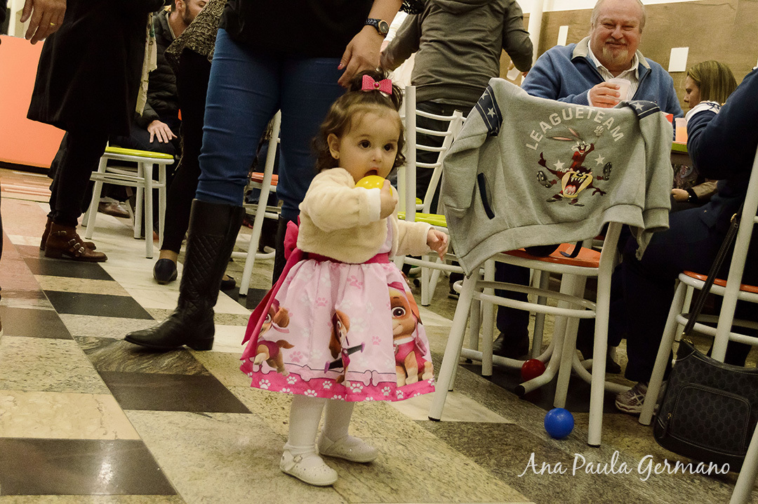 aniversário infantil Patrulha Canina