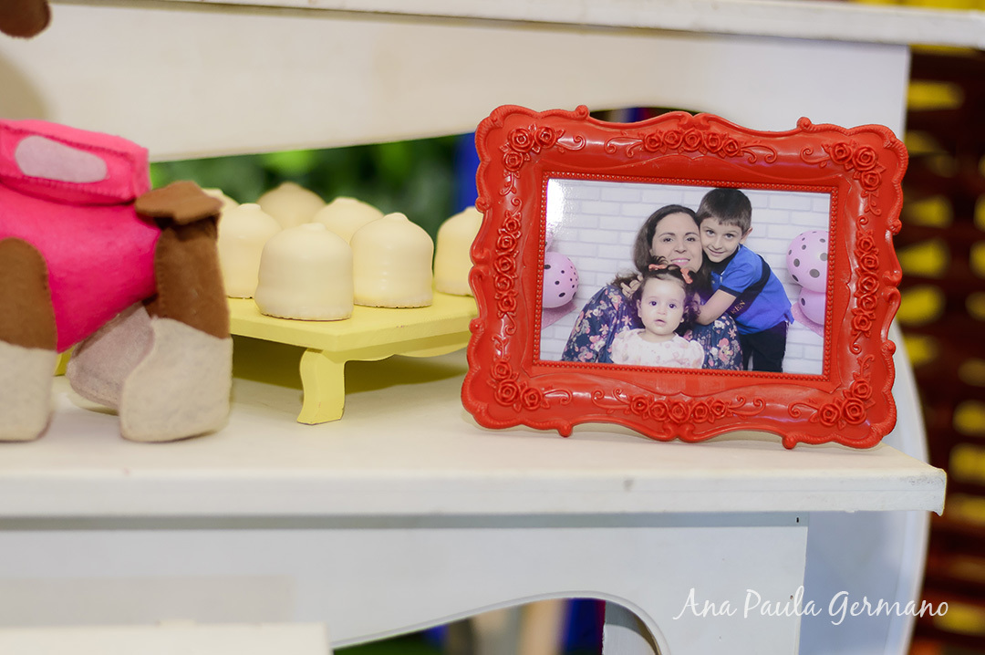 aniversário infantil Patrulha Canina