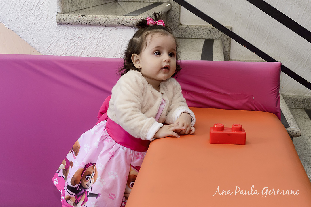 aniversário infantil Patrulha Canina