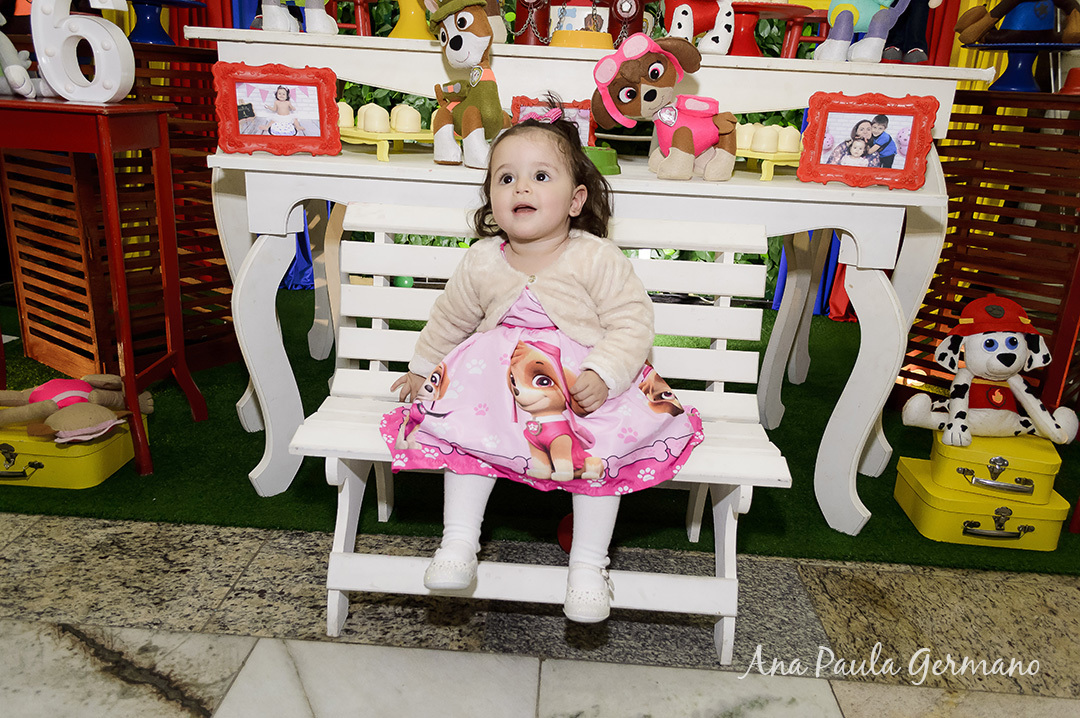 aniversário infantil Patrulha Canina