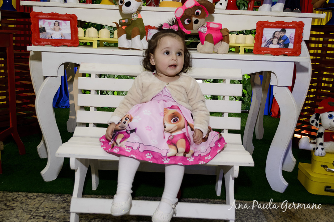 aniversário infantil Patrulha Canina