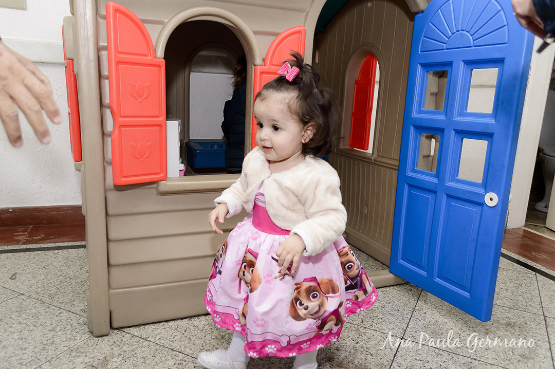 aniversário infantil Patrulha Canina