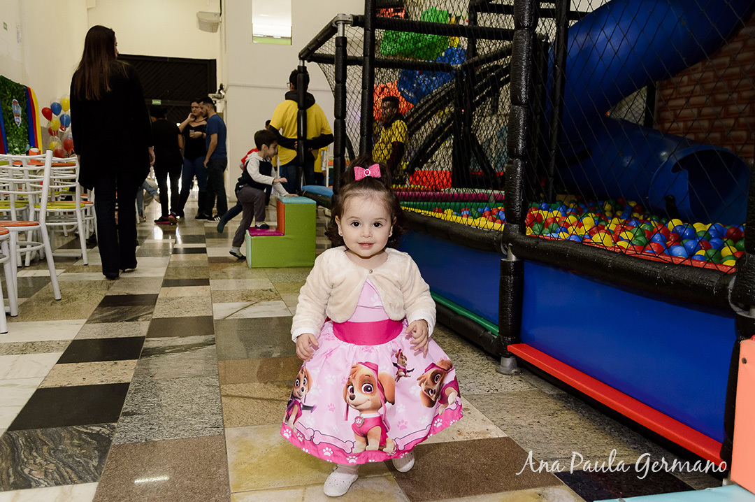 aniversário infantil Patrulha Canina