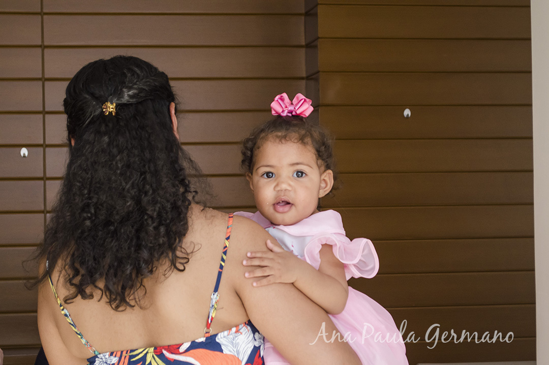 aniversário infantil - jardim encantado