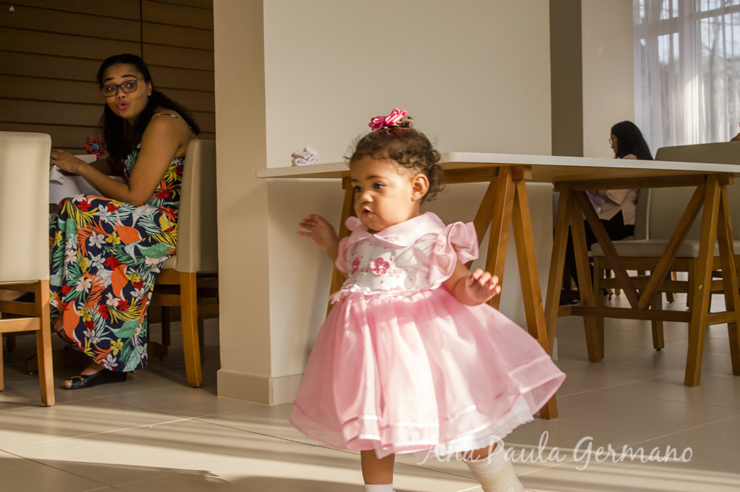 aniversário infantil - jardim encantado