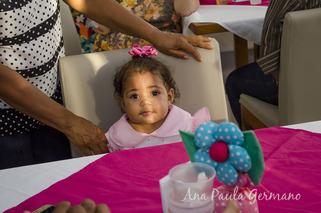 aniversário infantil - jardim encantado
