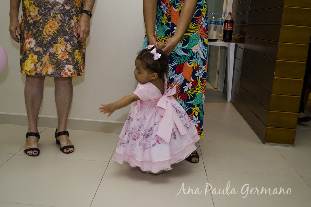 aniversário infantil - jardim encantado