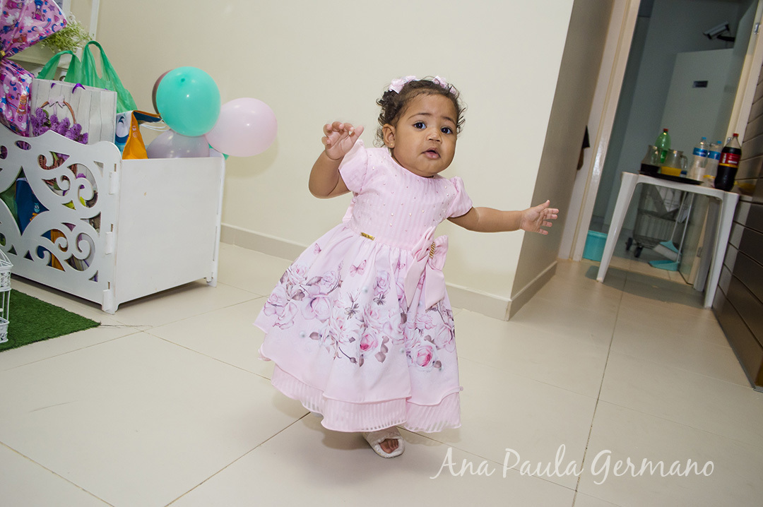 aniversário infantil - jardim encantado