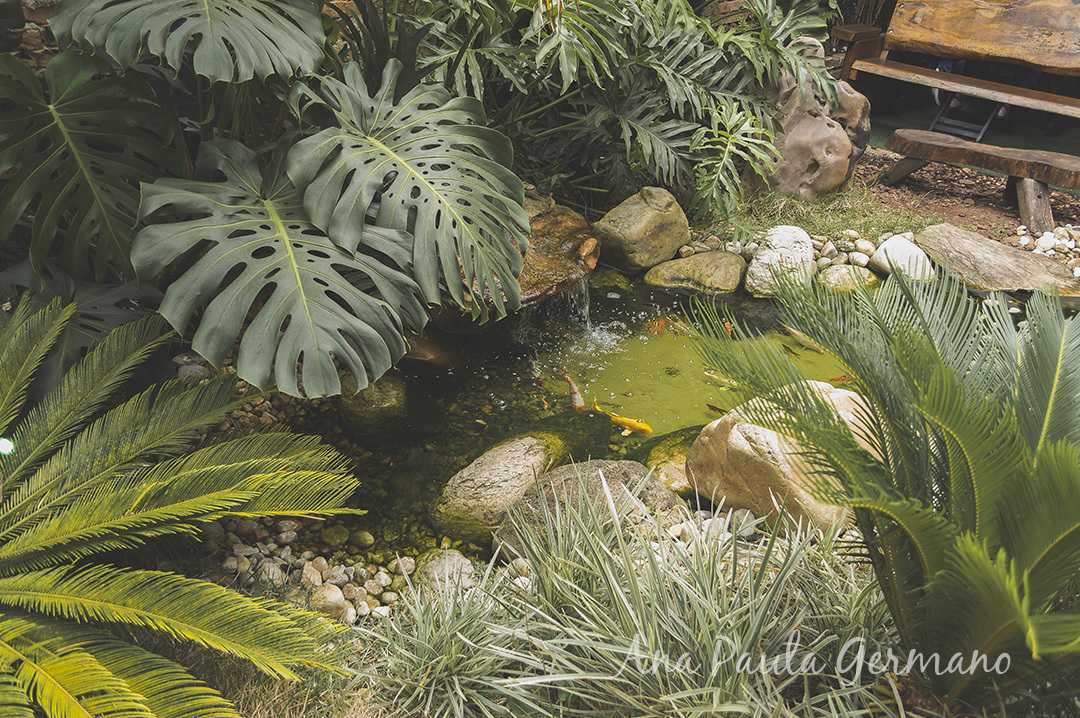 Casamento - Mini wedding