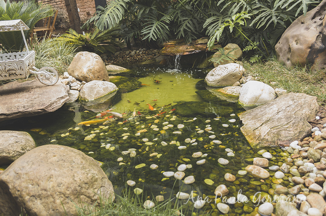 Casamento - Mini wedding