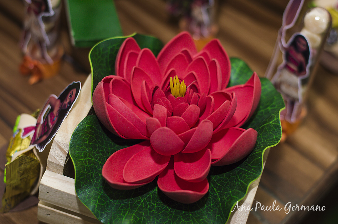 aniversário infantil Moana