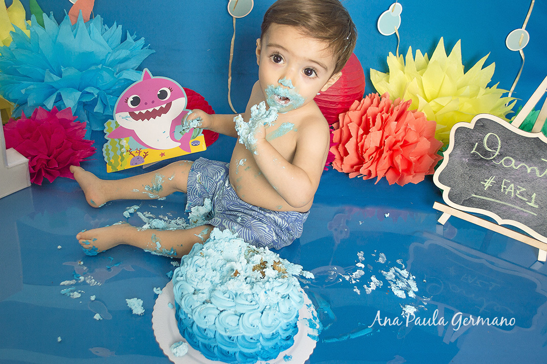 Smash the Cake Baby Shark 43