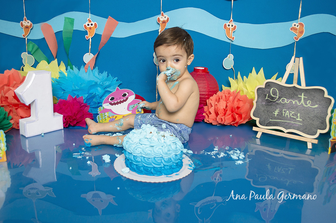 Smash the Cake Baby Shark 45