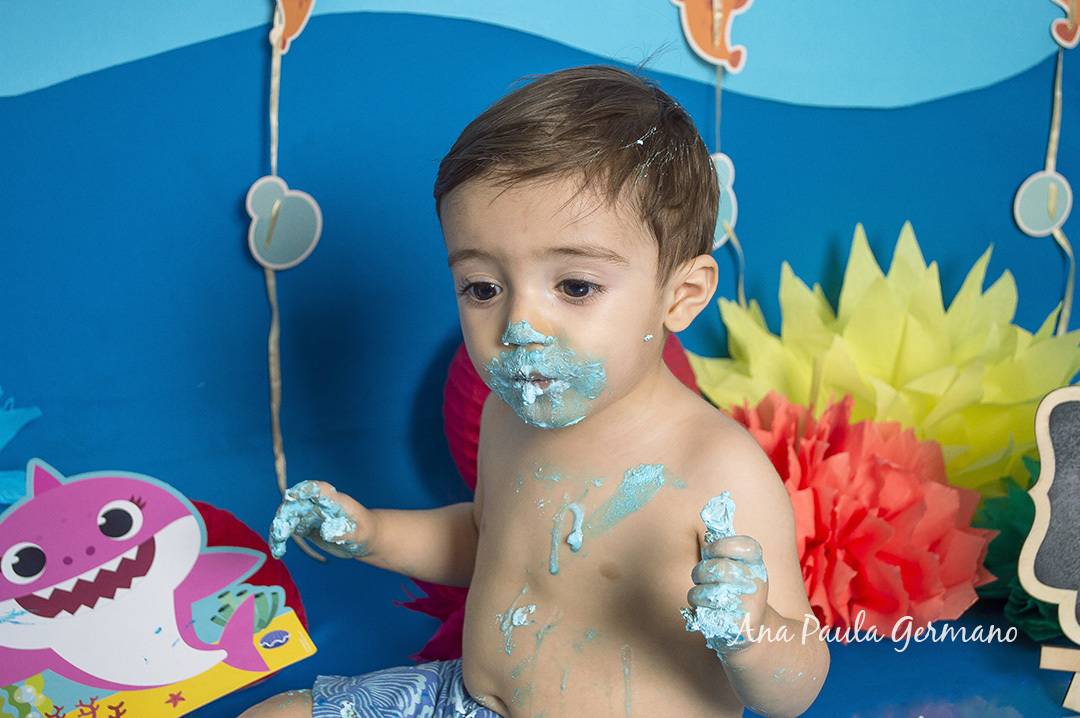 Smash the Cake Baby Shark 48