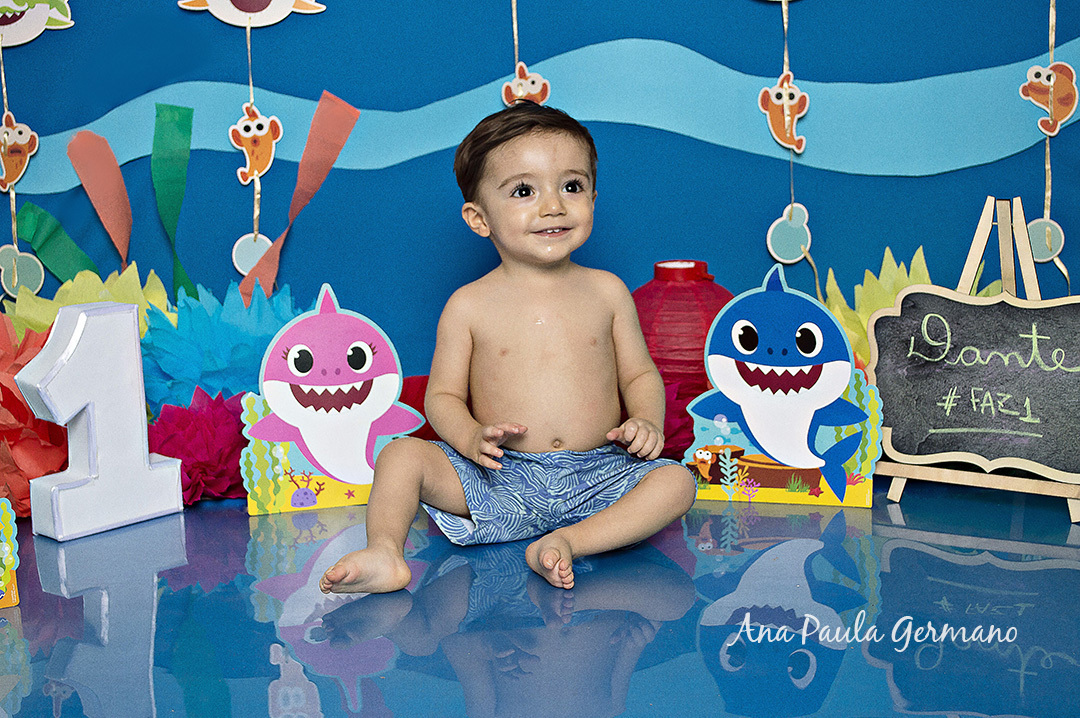 Smash the Cake Baby Shark 20