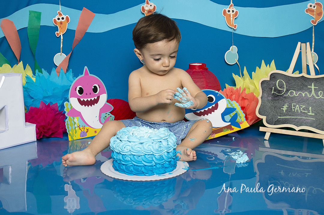 Smash the Cake Baby Shark 23