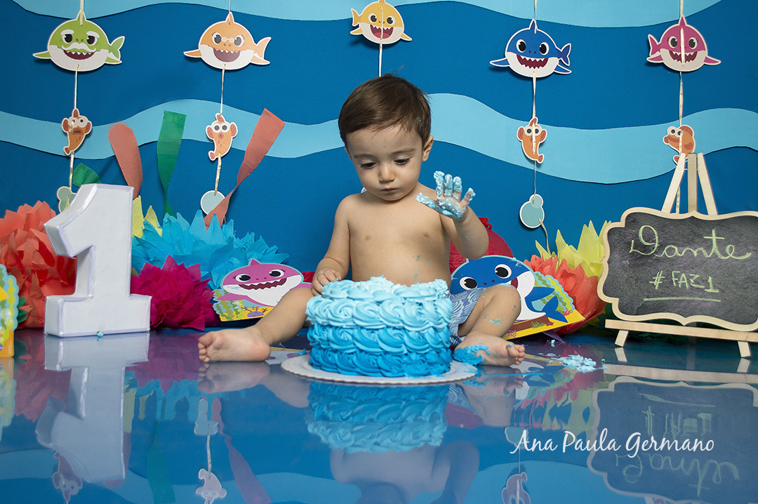 Smash the Cake Baby Shark 24