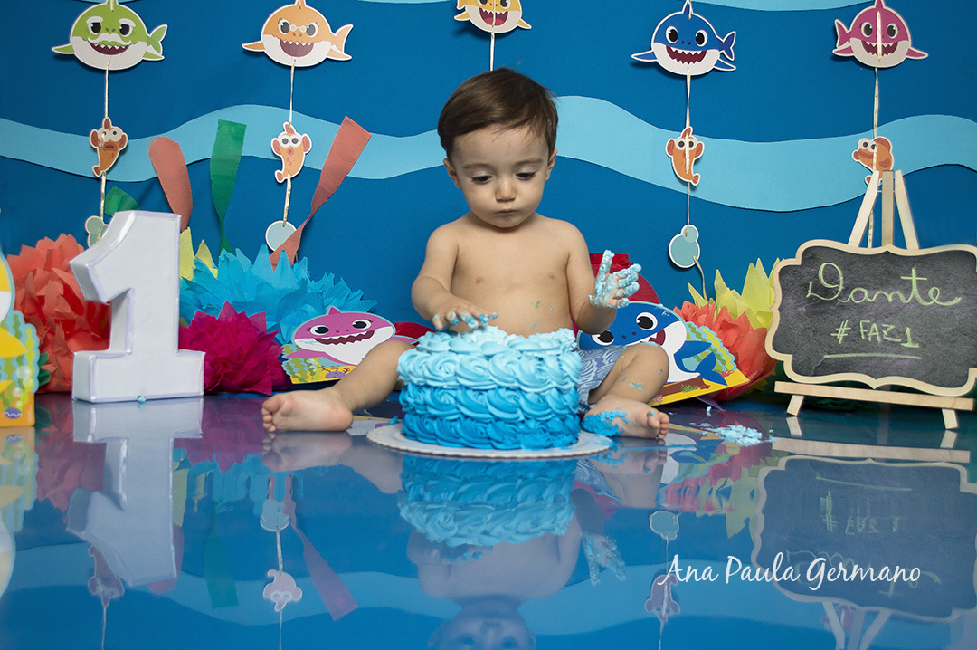 Smash the Cake Baby Shark 25