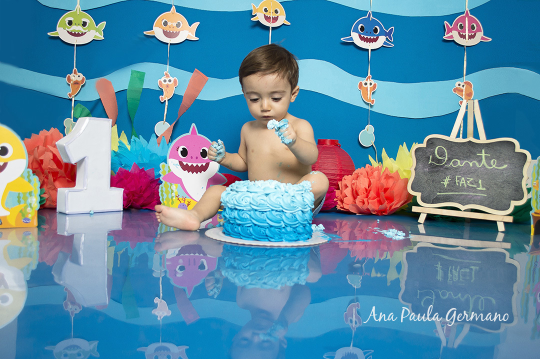 Smash the Cake Baby Shark 27