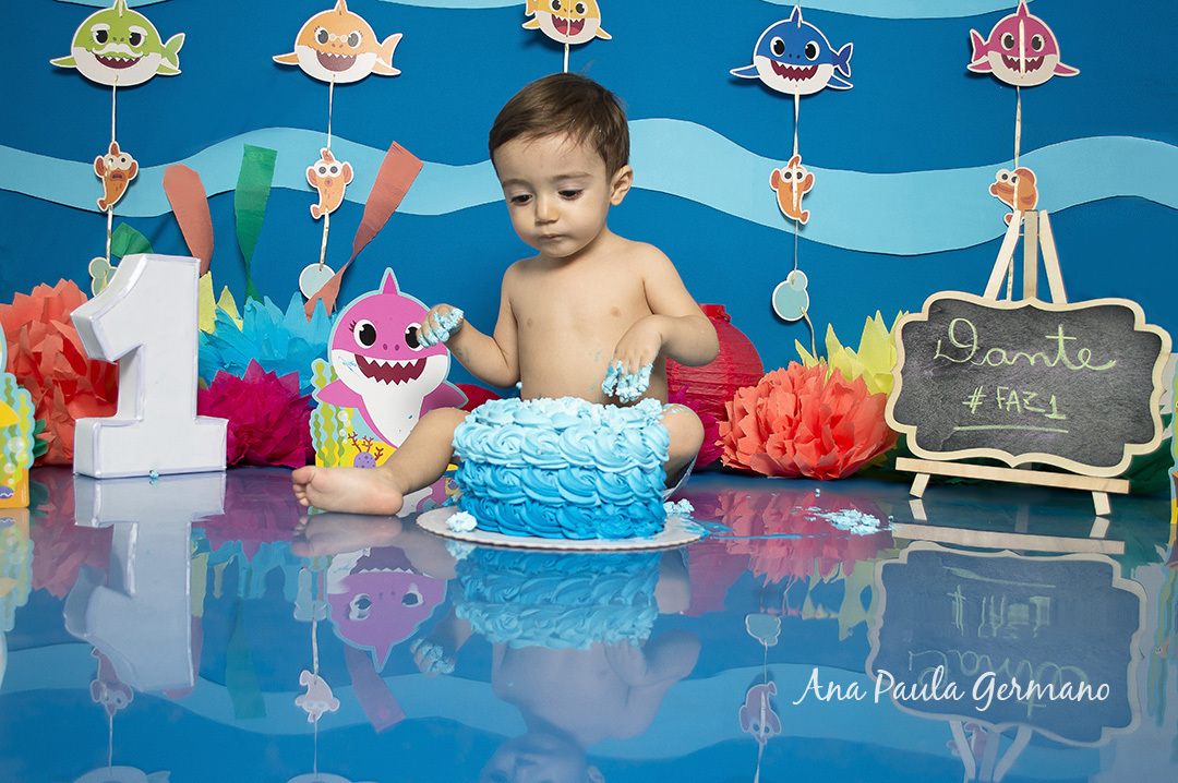 Smash the Cake Baby Shark 28