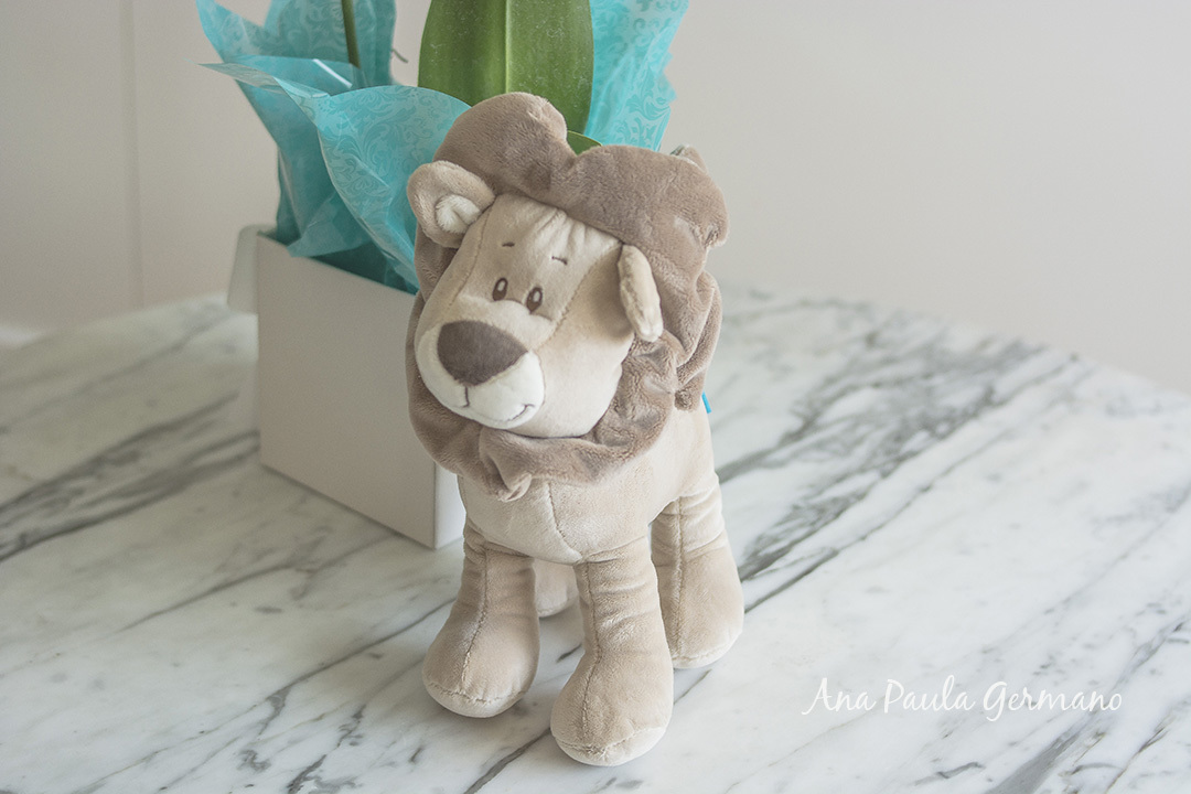 Fresh 48h - Ensaio na Maternidade Santa Joana 2