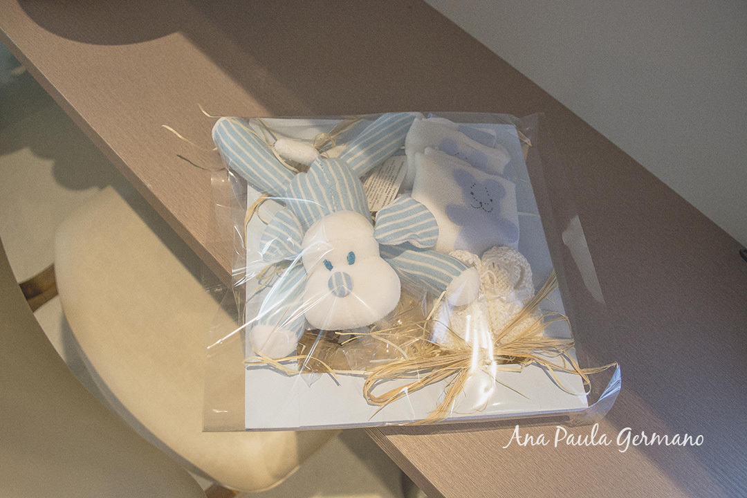 Hospital Sao Luiz Analia Franco-Fotografo de Parto/SP | Ensaio Fresh 24h do bebê Leonardo 16