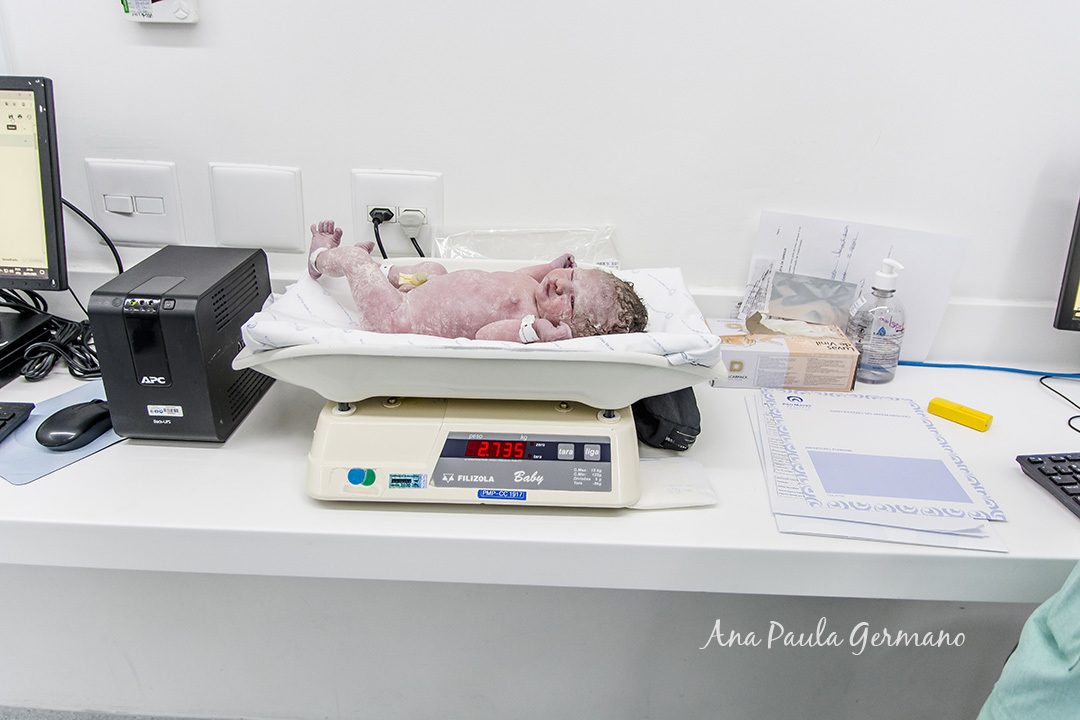 Fotografo Credenciado - Pro Matre/SP - Parto Beatriz | 33