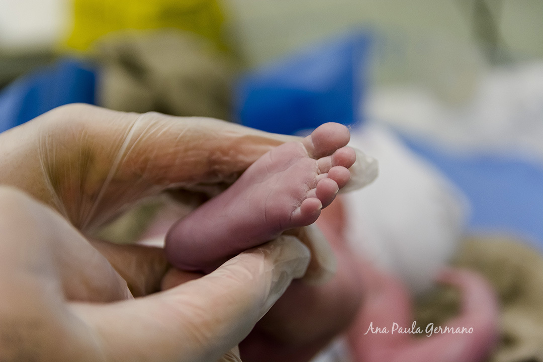 Fotógrafo de Parto Credenciado ao Hospital Vitória Anália Franco | 17