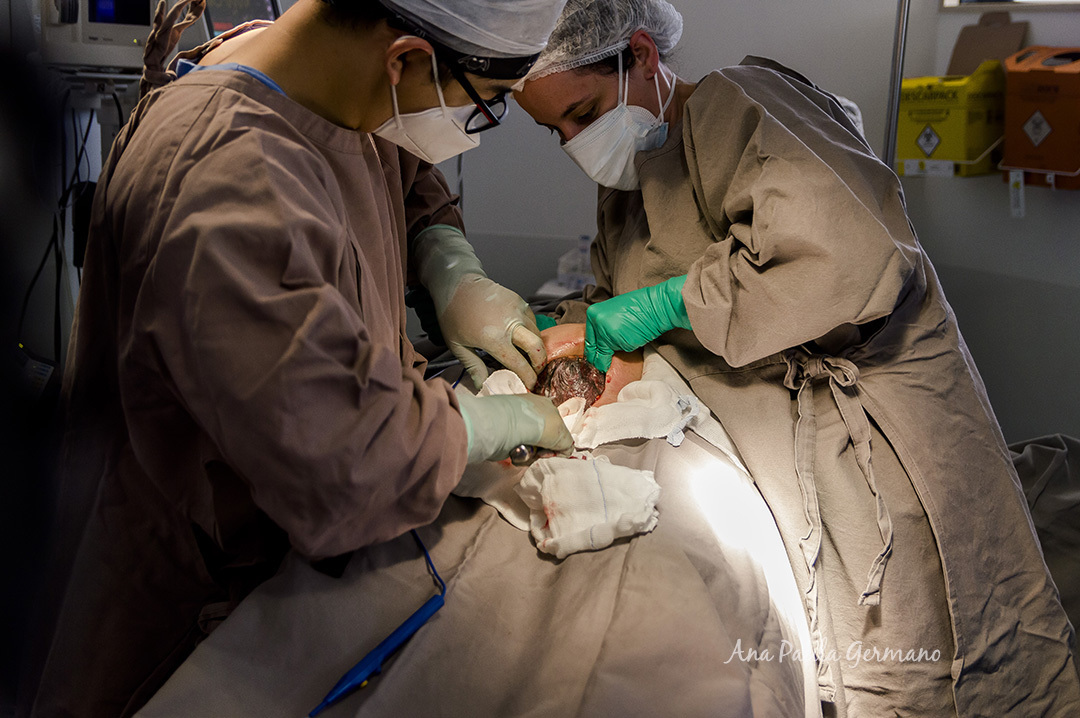 Fotógrafa de Parto em SP | Credenciados Hospital Vitória Anália Franco | 12