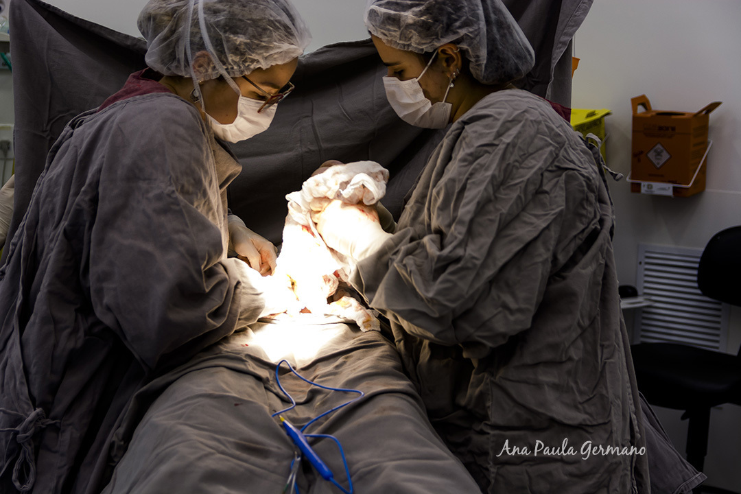 Fotógrafo de Parto credenciado ao Hospital Sepaco | Nascimento do Bebê Renan | 7
